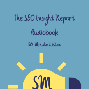The Seo Insight Report Audiobook