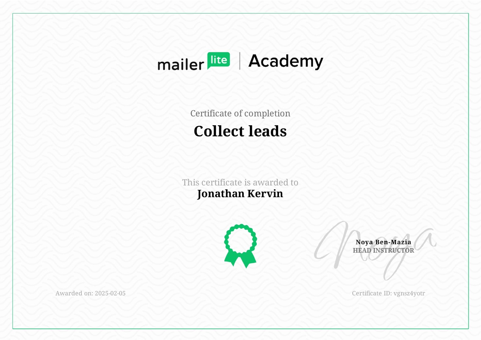 MailerLite Academy Collect Leads Certification